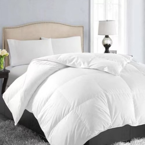 All Season Quilt Insert Summer Cooling Blanket Spring Autumn Comforter Winter Thickened Duvet for Single and Double Bed