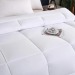 All Season Quilt Insert Summer Cooling Blanket Spring Autumn Comforter Winter Thickened Duvet for Single and Double Bed