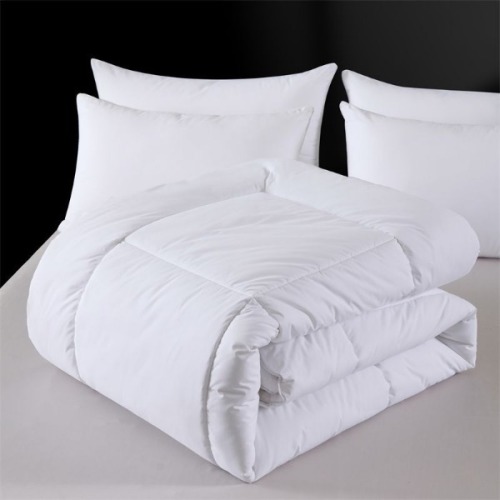 All Season Quilt Insert Summer Cooling Blanket Spring Autumn Comforter Winter Thickened Duvet for Single and Double Bed