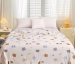 Summer Cooling Blanket Ice Silk Thin Quilt Air Conditioner Comforter Machine Washable Single Double Size for Kids