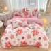 Thickened Washed Cotton Ruffled Bedding Set for Students 3 or 4 Piece Bed Sheet and Coverlet Set