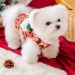 Christmas New Year Teddy Bear Knitted Cat Vest Cozy Winter Warm Cat Sweater Holiday Pet Clothing