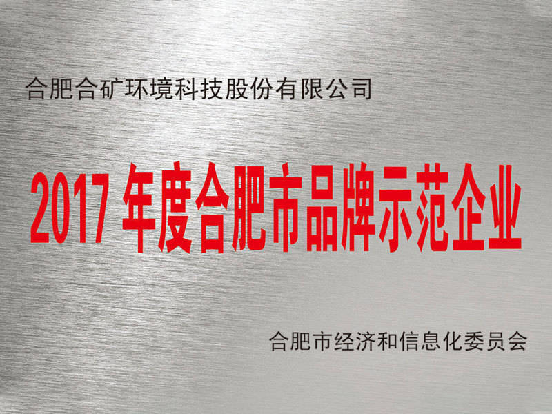 Hefei Brand Demonstration Enterprise