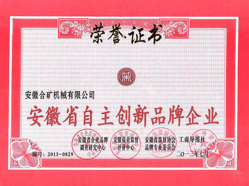 Independent Innovation Brand Enterprise in Anhui Province