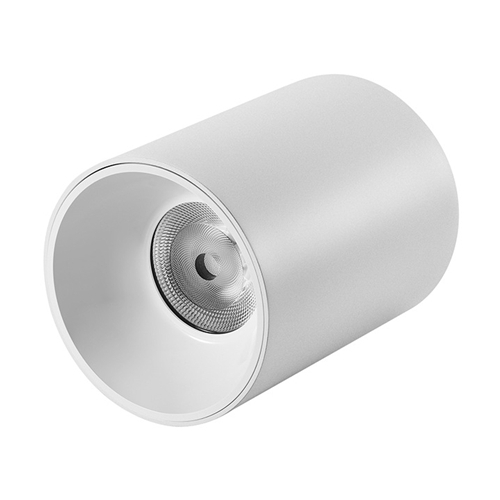 Ceiling Mounted LED Downlight 10W 20W 30W 40W 50W