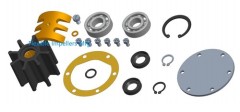 Major Repair Kit for Johnson Pump 10-24398-01 10-24398-02 John Deere RE503068