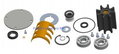 Major Repair Kit for Water Pumps Caterpillar 395-1646 and Jabsco 50694-8000