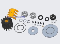 Major Raw sea water pump repair kit for Northern Lights 25-19522 M1066 series