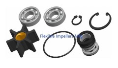 Water Pump Repair Kit For Sherwood G8001 GP8001 Kohler 28487 359341