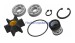Water Pump Repair Kit For Sherwood G8001 GP8001 Kohler 28487 359341