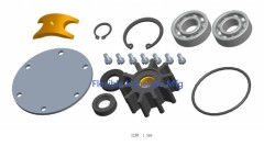 Raw Sea Water Pump Major Rebuild Kit for Jabsco 2620-1101 Kohler 5HP A249861