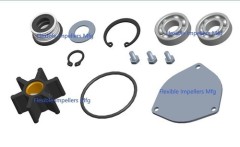 Major Raw Water Pump repair kit for Jabsco 51510-2001