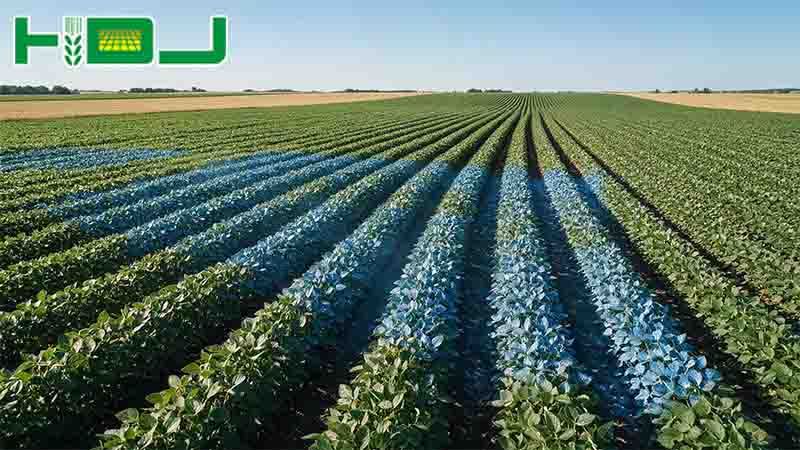 Pulverizadores agrícolas com controle remoto: guia completo para operações agrícolas