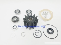 Raw Water Pump repair kit for Sherwood M71 G26 G45 G55 G1009 minor kit 23976