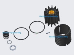 Minor Repair Kit For Sherwood Pump G2903X 29000K impeller 21106 half cam liners