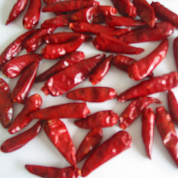 dried chili