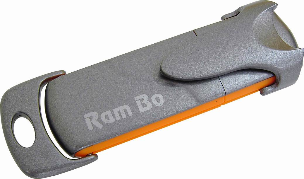 RAM Bo Ultra Disk PRO USB 2.0