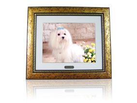 digial photo frame 