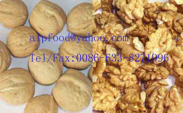 walnut meat