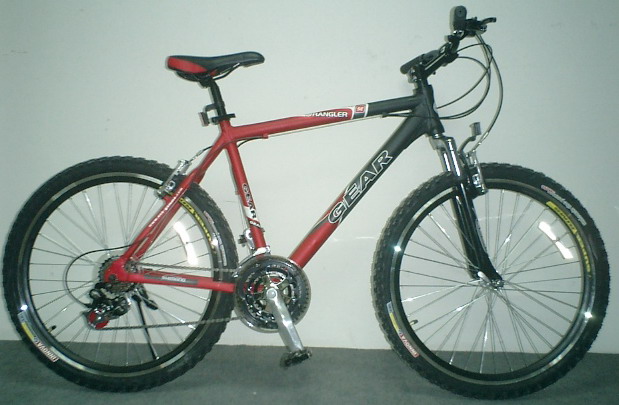 adult mountain bike