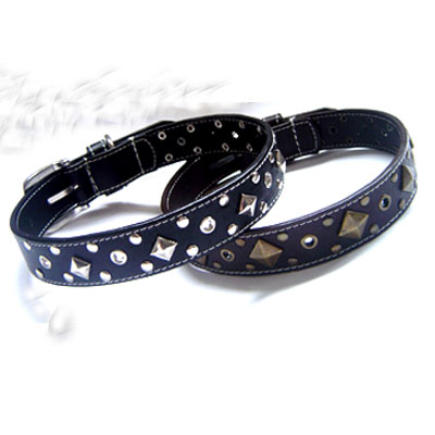 dog Collar