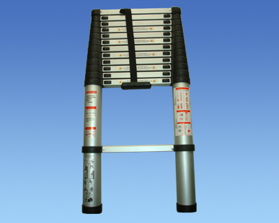 Telescopic Ladder 