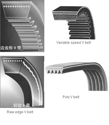 auto v belt 