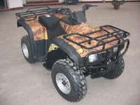 250cc Four-Stroke 250CC ATV with Reverse Gear EECs (NS-ATV-250d)