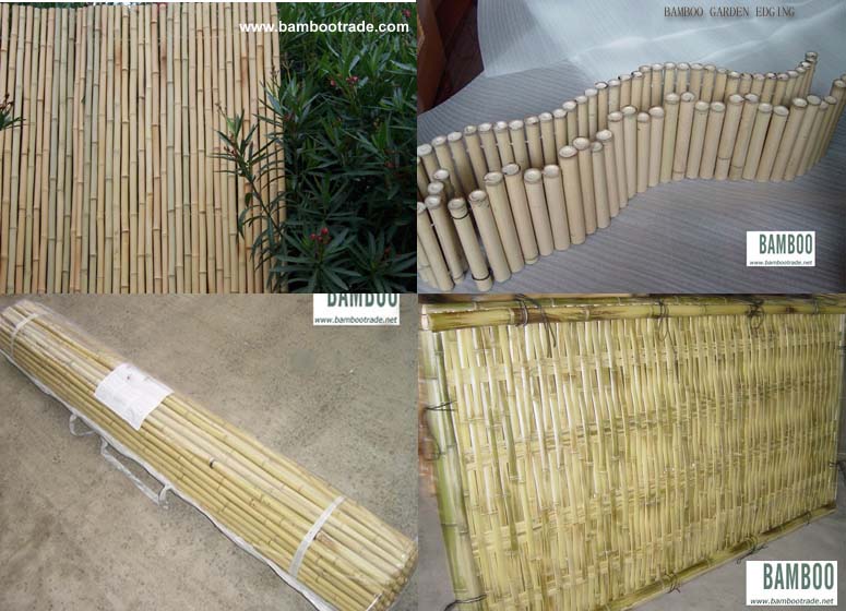 Bamboo fence and edging