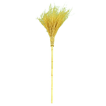 Bamboo Broom