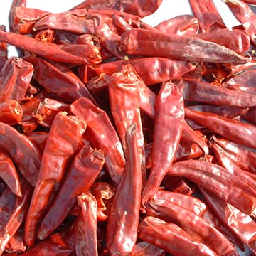 chili hot pepper red 