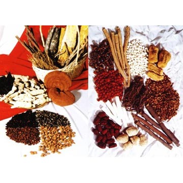 Chinese Medicinal Herbs