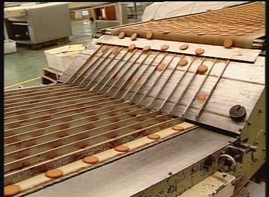 biscuits production line