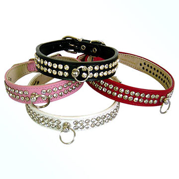 Pet Collar and Leash