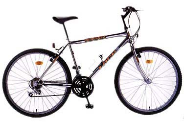 Adult Bicycles (WM2603)