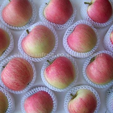 Gala Apples