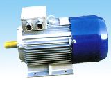 Selctromagnetic-brake Motors