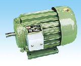 YDEJ Series Multi-speed Induction Motor