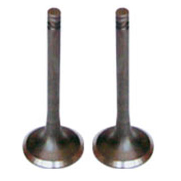 Engine Valve 