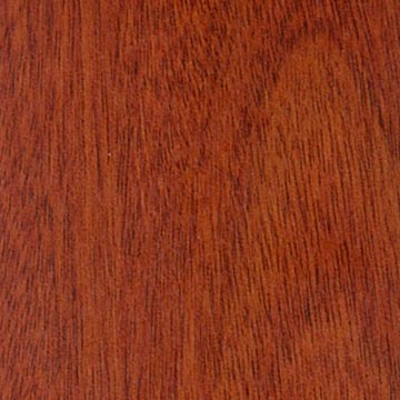 Feather Grain Laminated Flooring