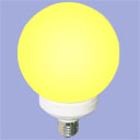 compact fluorescent bulb 