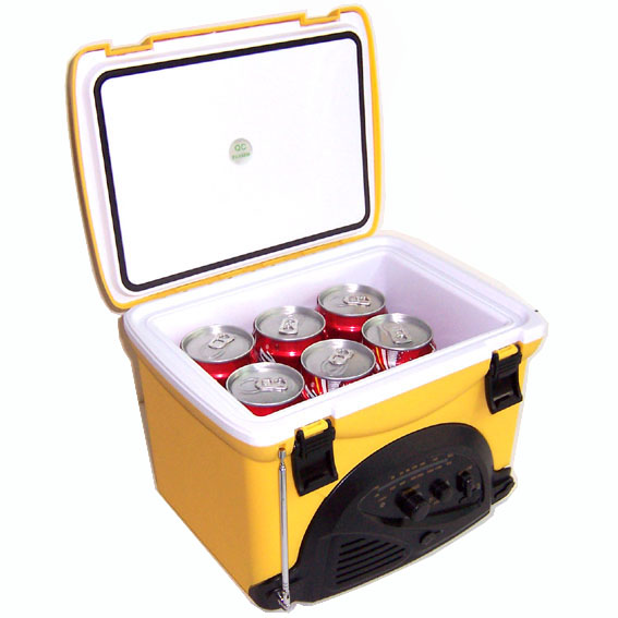 5 Liter Cooler Box With Radio