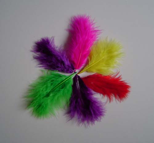 coloured turkey feathers