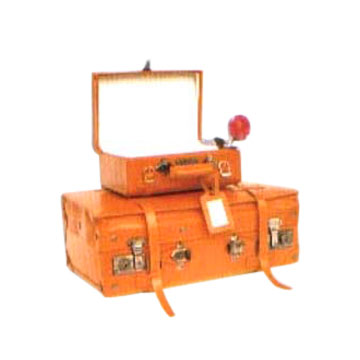 leather  Trolley Case 