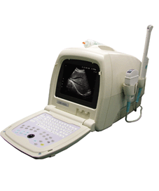 CMS600A  Plus Portable Convex Ultrasound Scanner