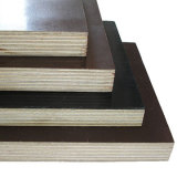 Construction Shuttering Plywood