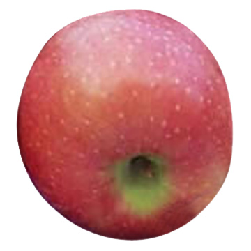 New Red Star Apples