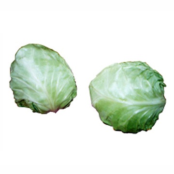 Fresh Cabbages