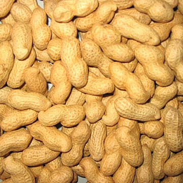 Roasted Peanuts in Shells