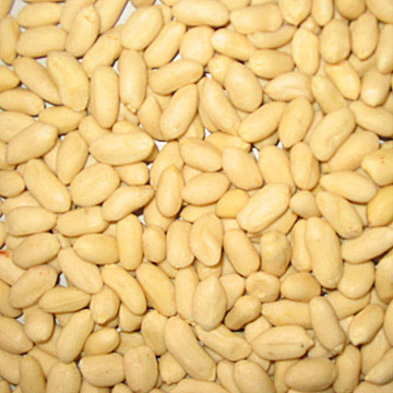 Blanched Kernels